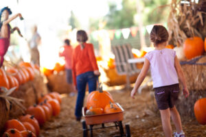 kids pulling a wagon at a pumpkin patch during a fall festival.