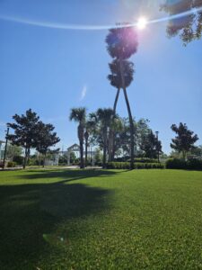 Beautiful green lawn at the Wedding Garden at Ocoee Lakeshore Center
